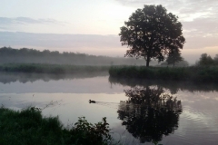 Omgeving  de Imme in de Weerribben