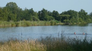 Zwemmen bij Groepsaccommodatie de Imme in de Weerribben