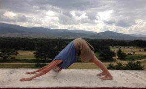 Anne Verhooijsen Iyengar Yoga