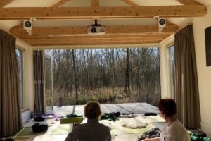 yoga arrangement
