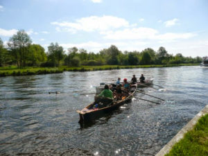 Roeien in de Weerribben