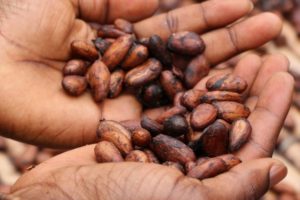 sjamanistisch cacao ceremonie