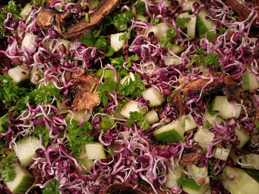 De kracht van kiemen in een gerecht van Gemarineerde oesterzwammen met Sango radijskiemen