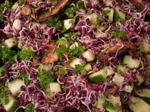 Kiemsalade met gemarineerde oesterzwammen